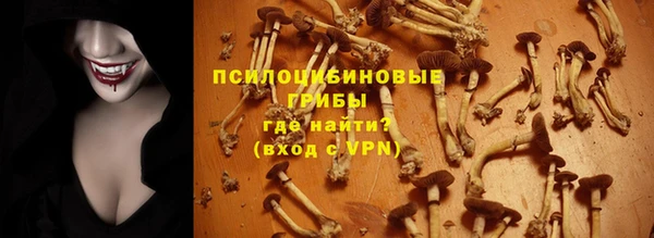 дурь Сатка