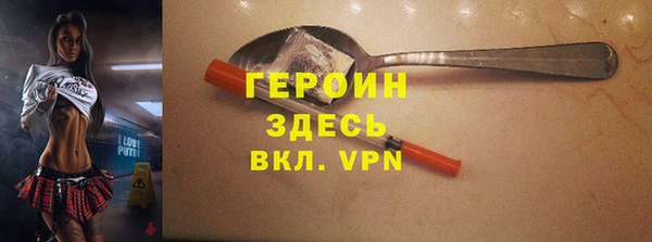 индика Алексин