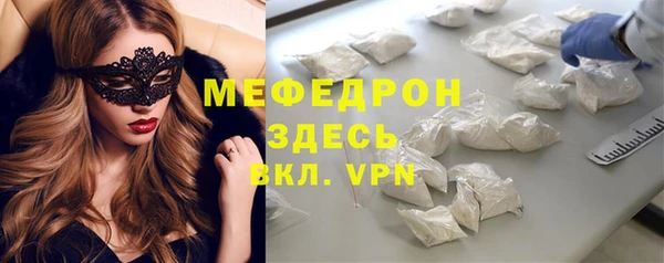 индика Алексин