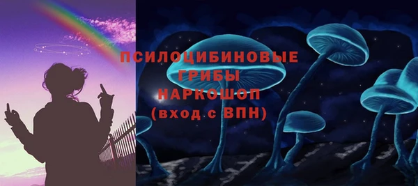 хмурый Алзамай