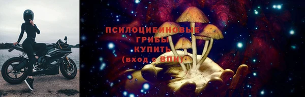 хмурый Алзамай