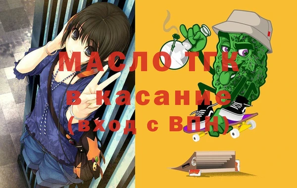 индика Алексин