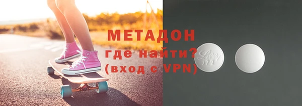 индика Алексин