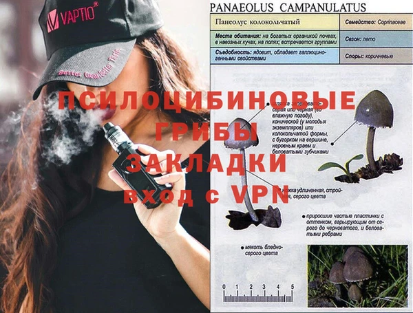 PSILOCYBIN Сафоново