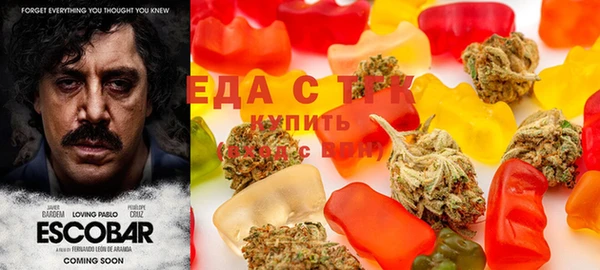 индика Алексин