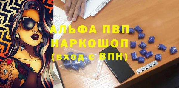 хмурый Алзамай
