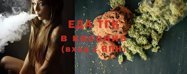 индика Алексин